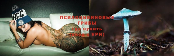2c-b Пересвет