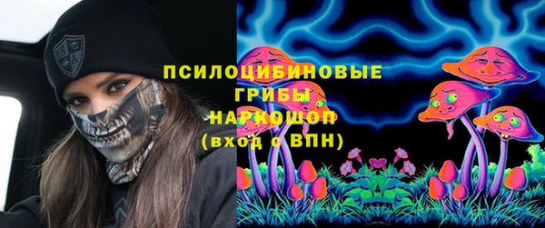 2c-b Пересвет
