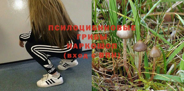 jwh Пестово